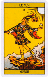 card-13