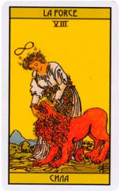 card-6