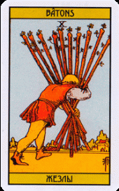 card-53