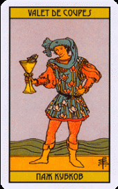 card-22