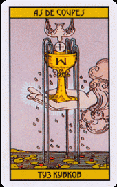 card-57