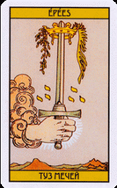 card-50